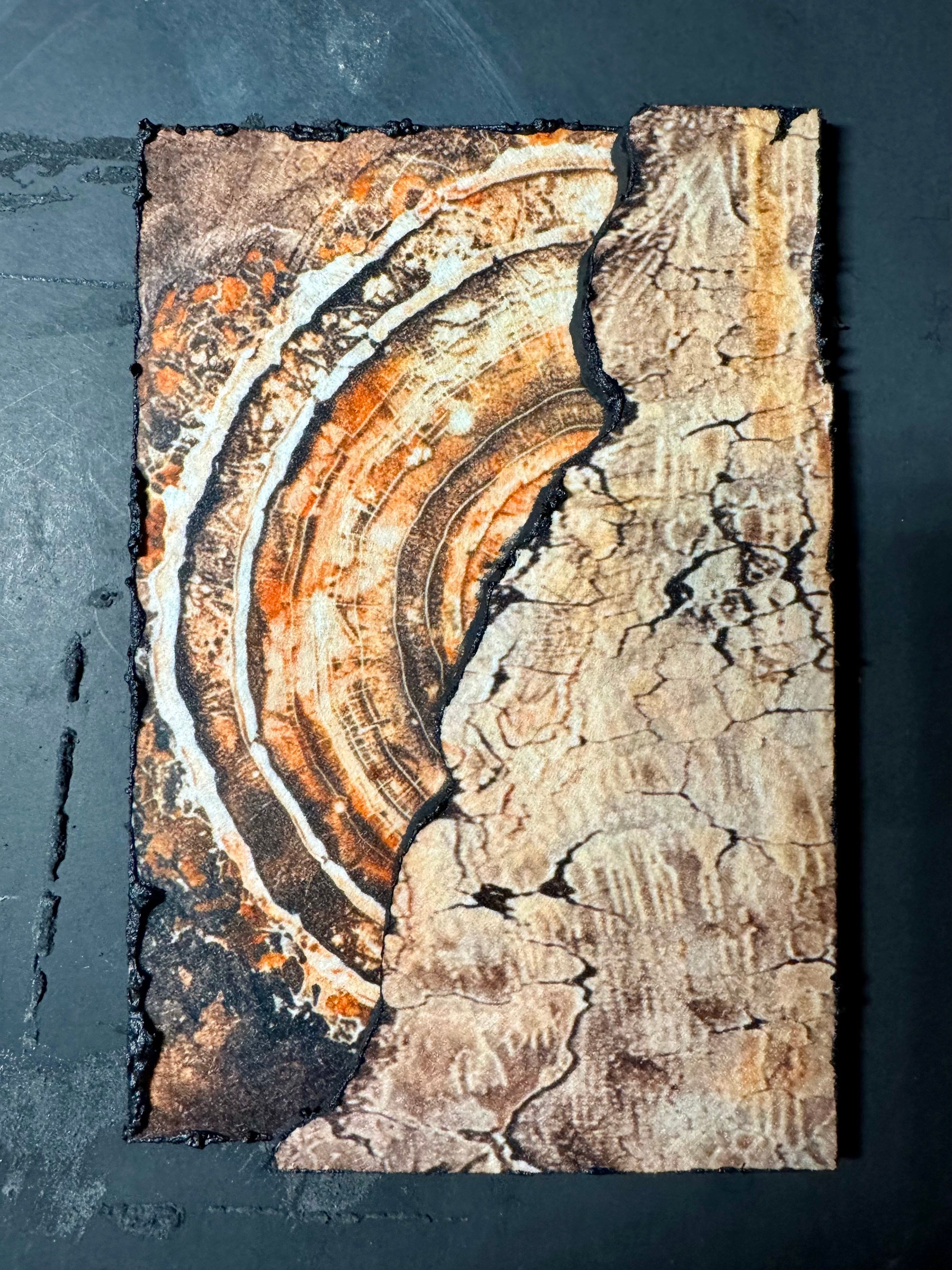 Aged with Wisdom – Handmade Tree Slice Decor