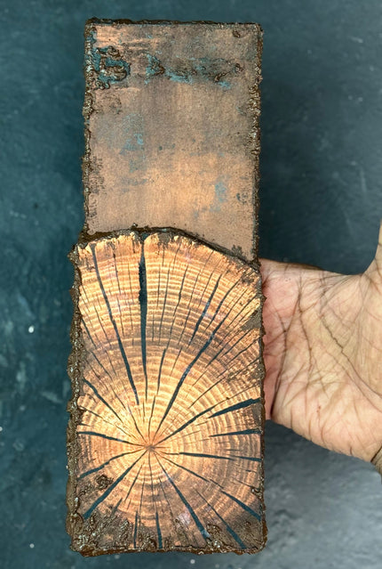 Growth Through the Years