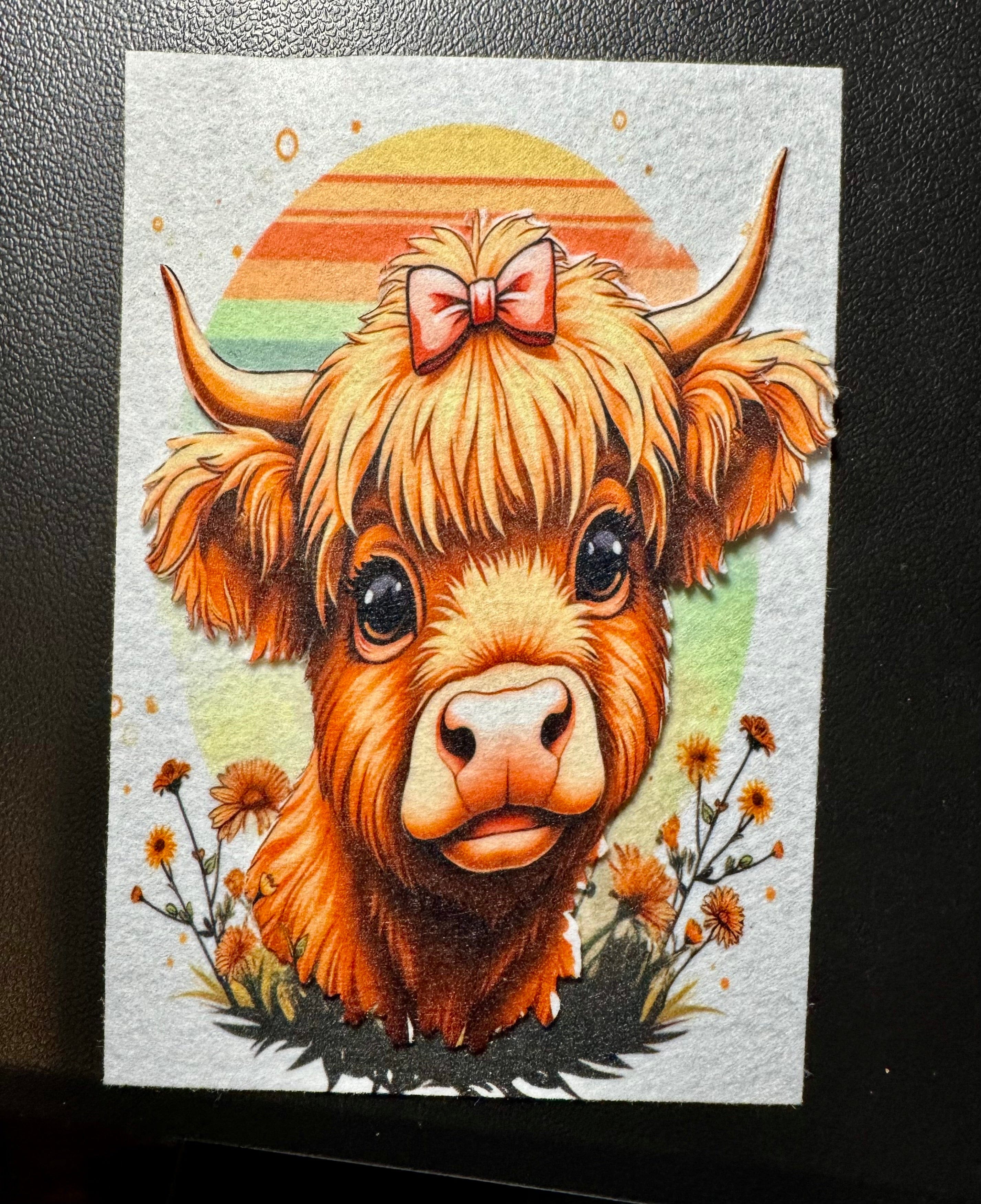 Cute Baby Highland Cow