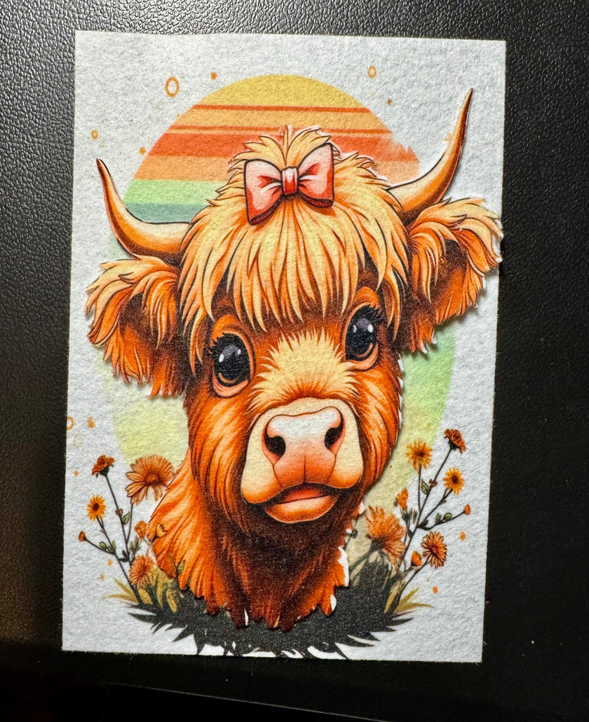 Cute Baby Highland Cow