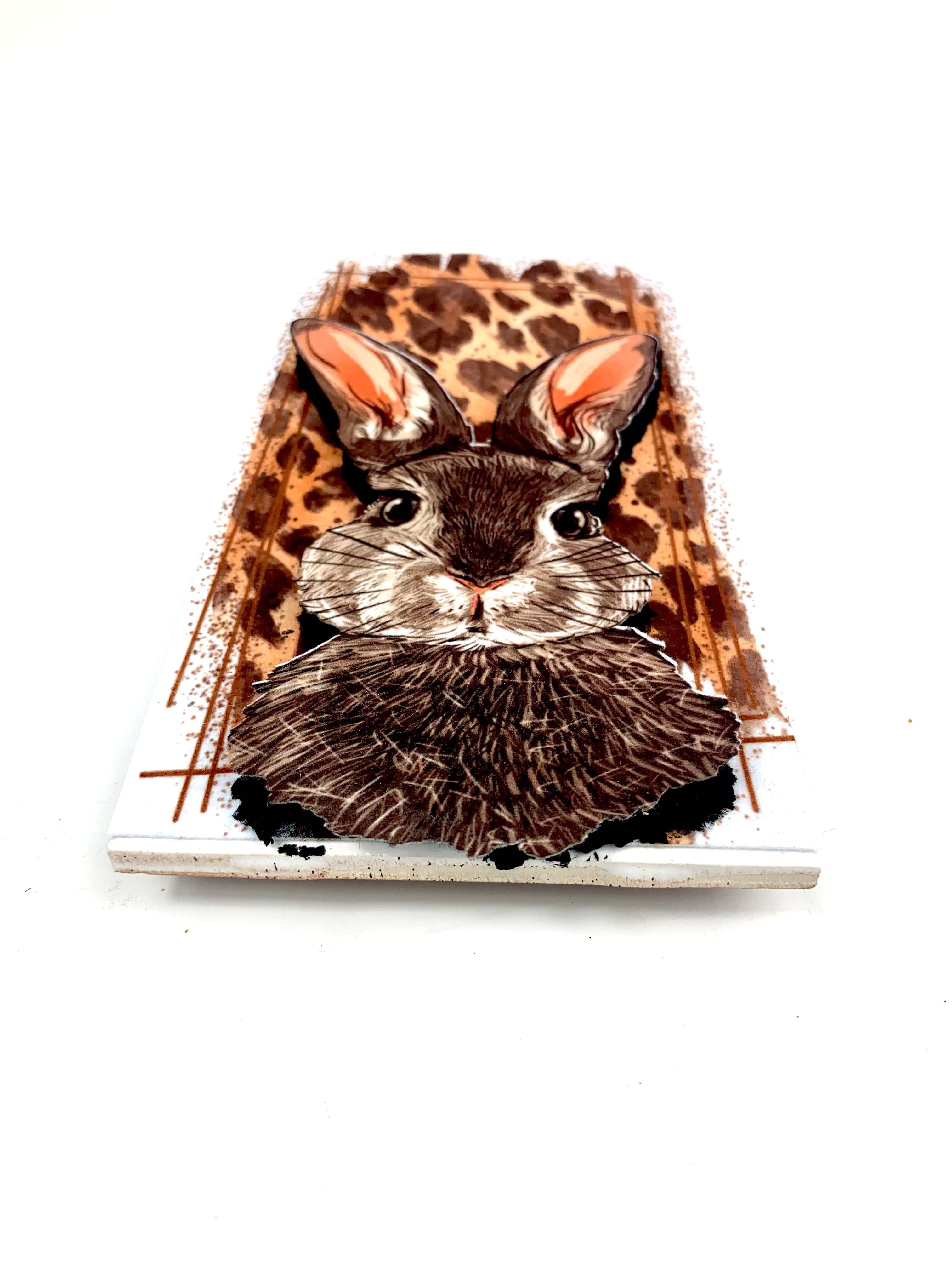 Sassy bunny on leopard print background