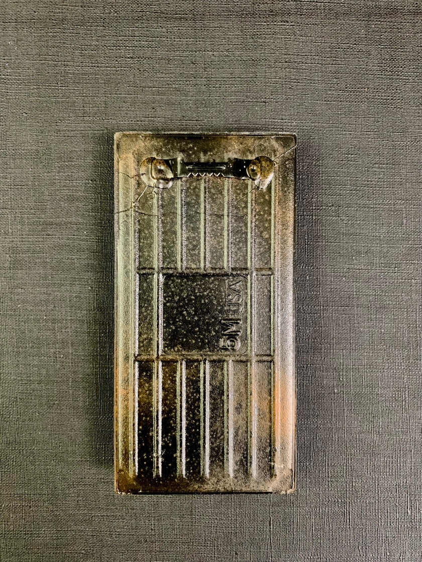 Shocking lobster sunset bicycle ride