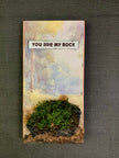 You are my rock